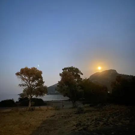 Kamp alanı Enjoy The Silence