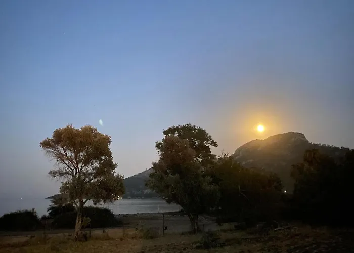 Camping Enjoy The Silence